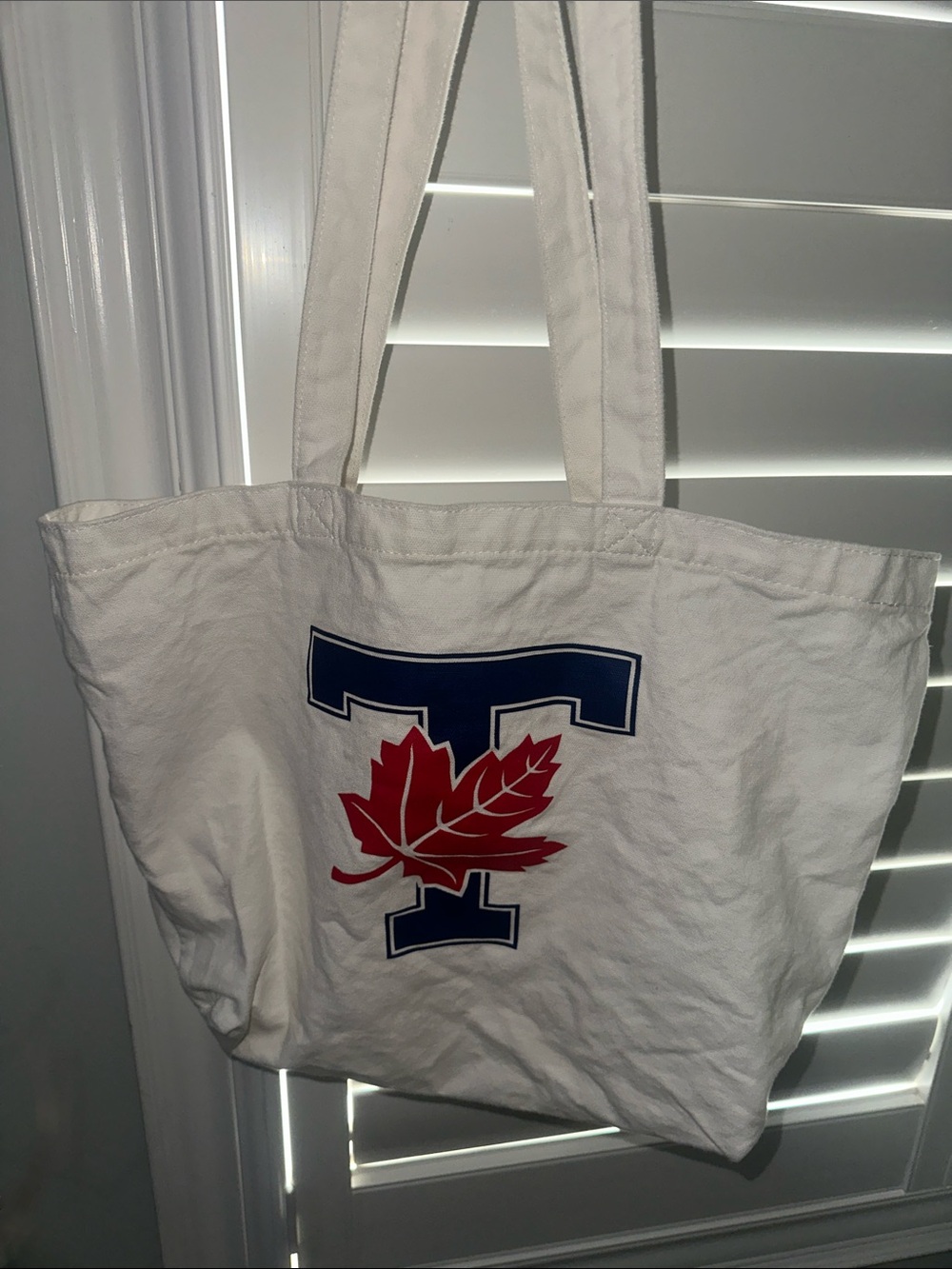 UofT x OVO 21’ Collection White Tote Bag